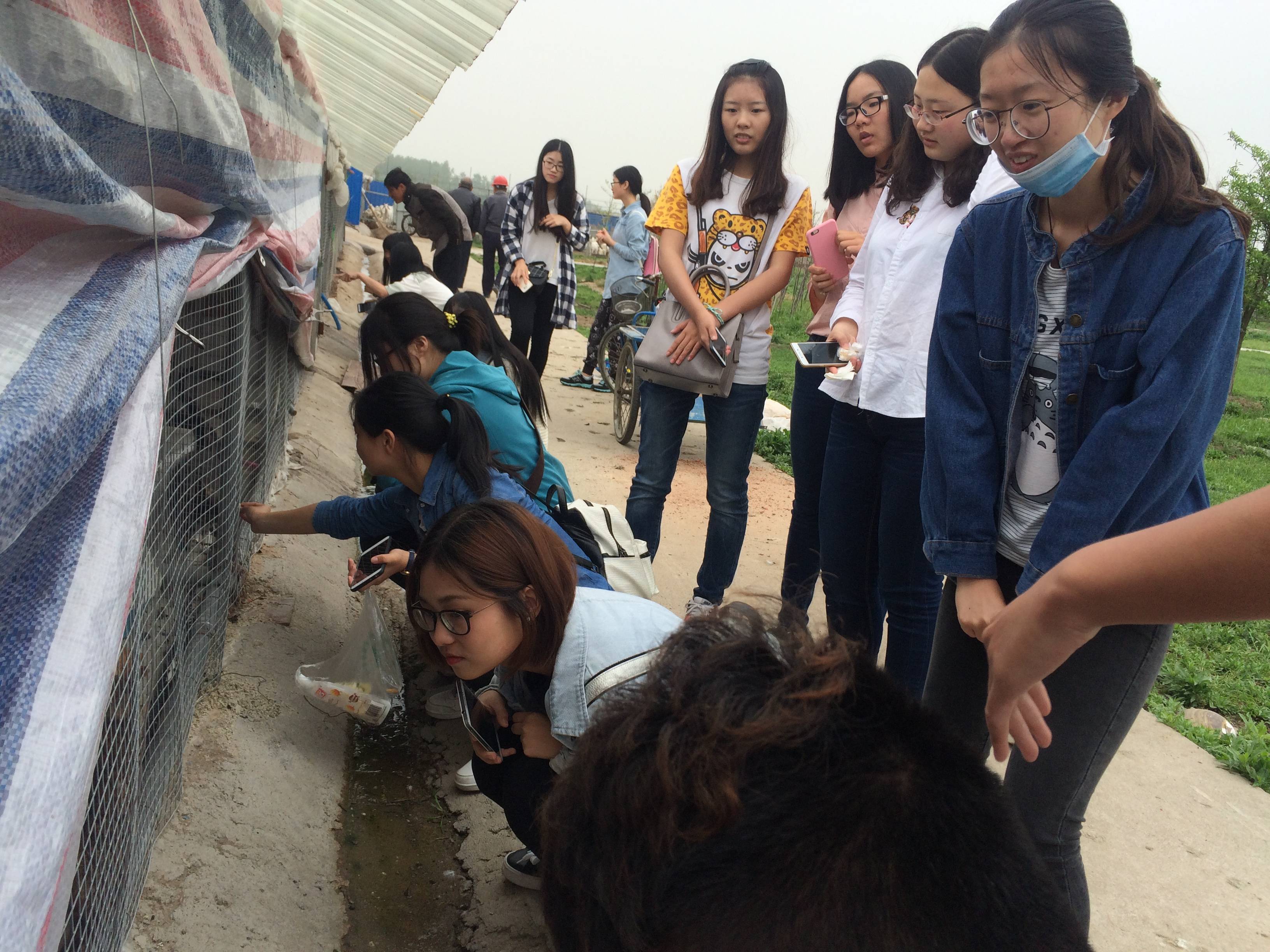 护生园相册(图文)