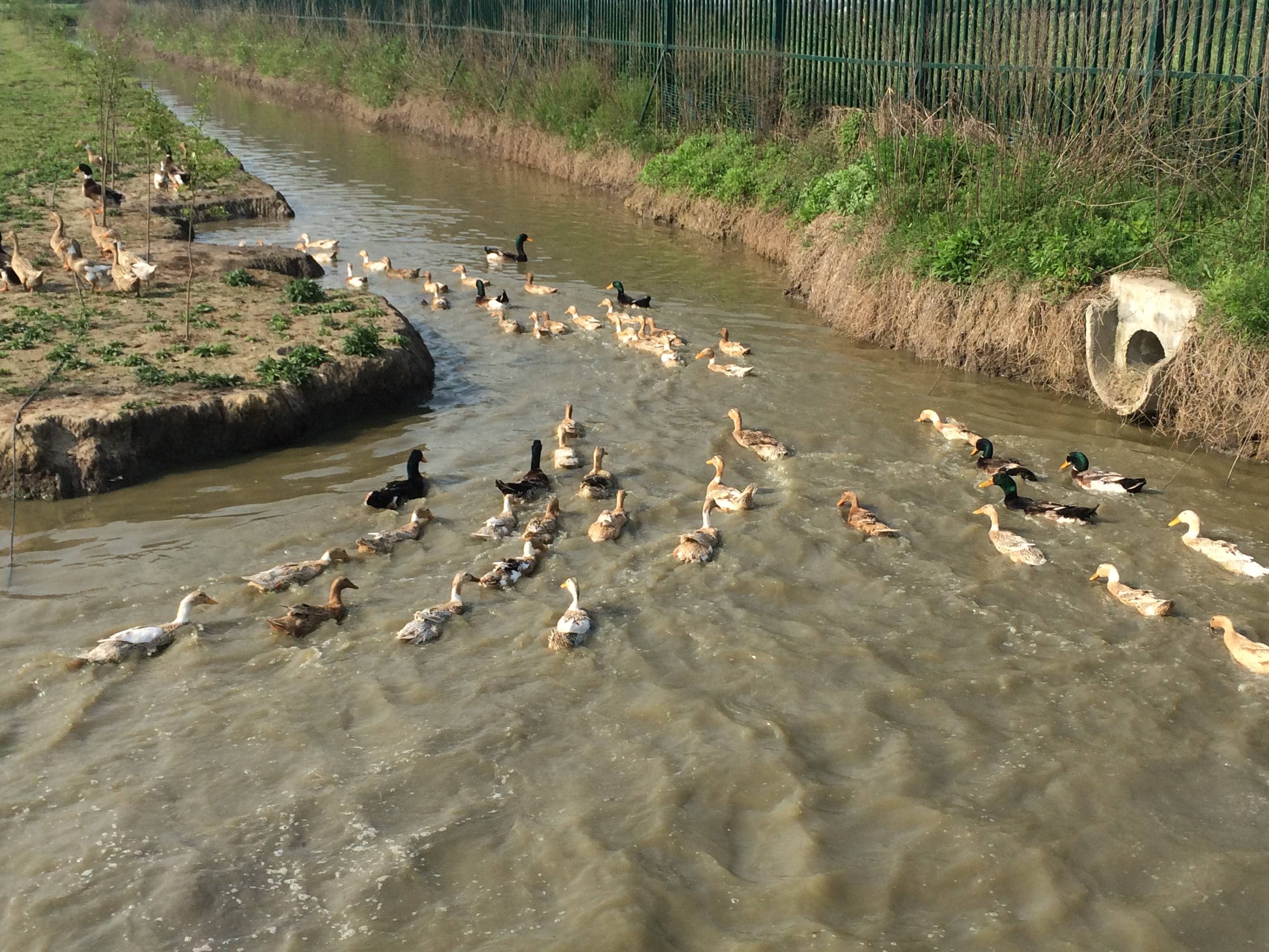 护生园相册(图文)