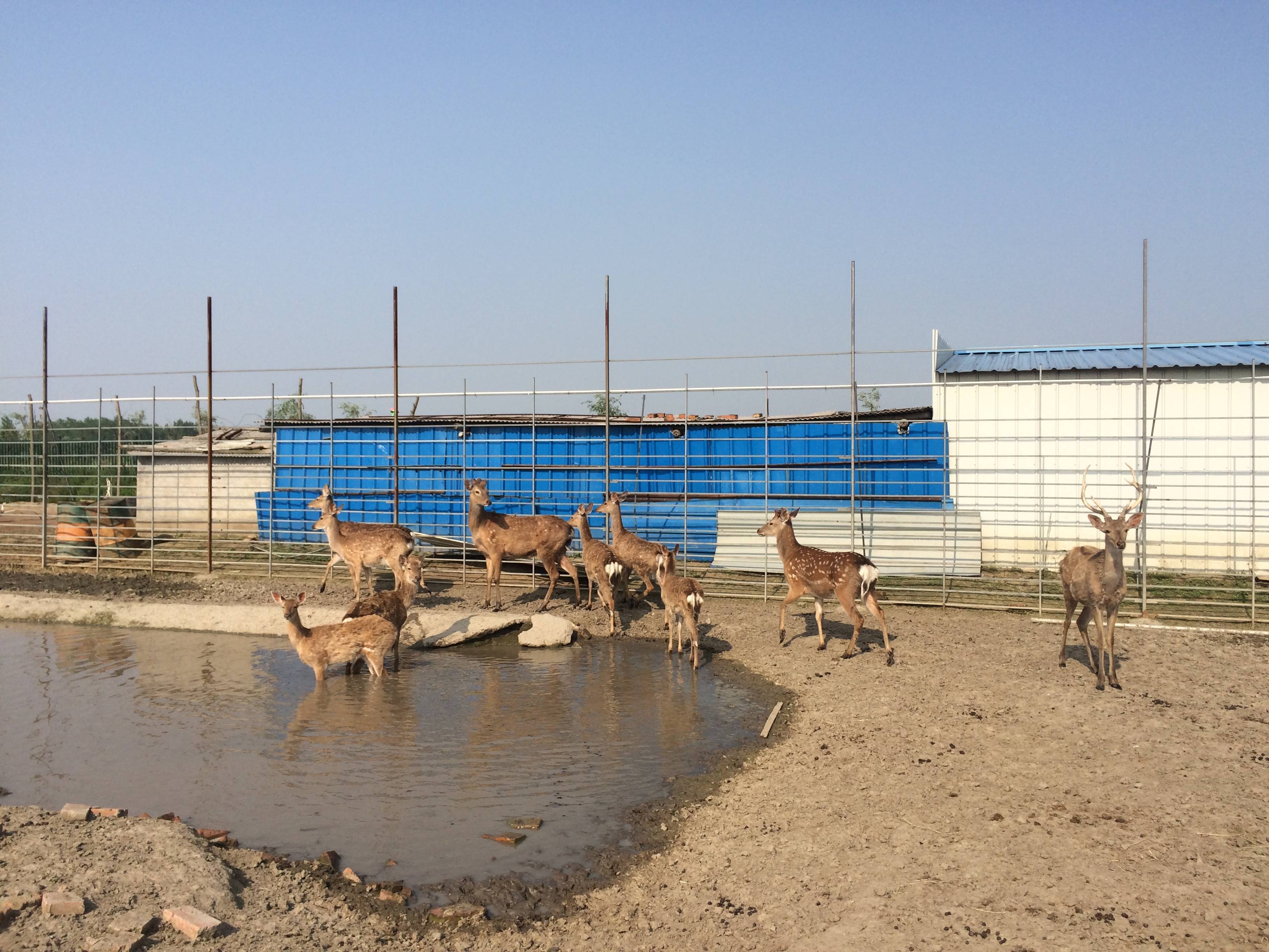 护生园相册(图文)