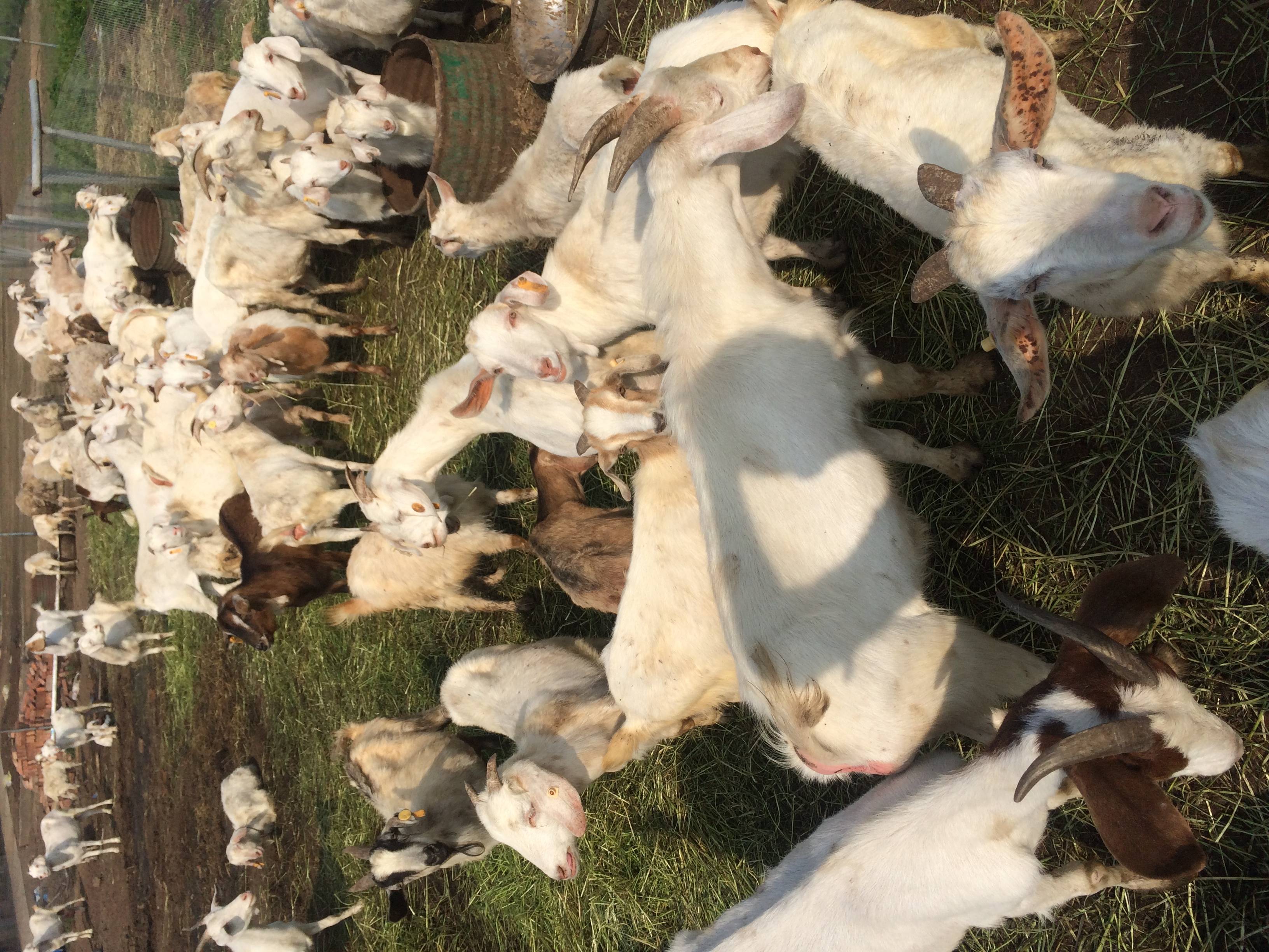 护生园相册(图文)