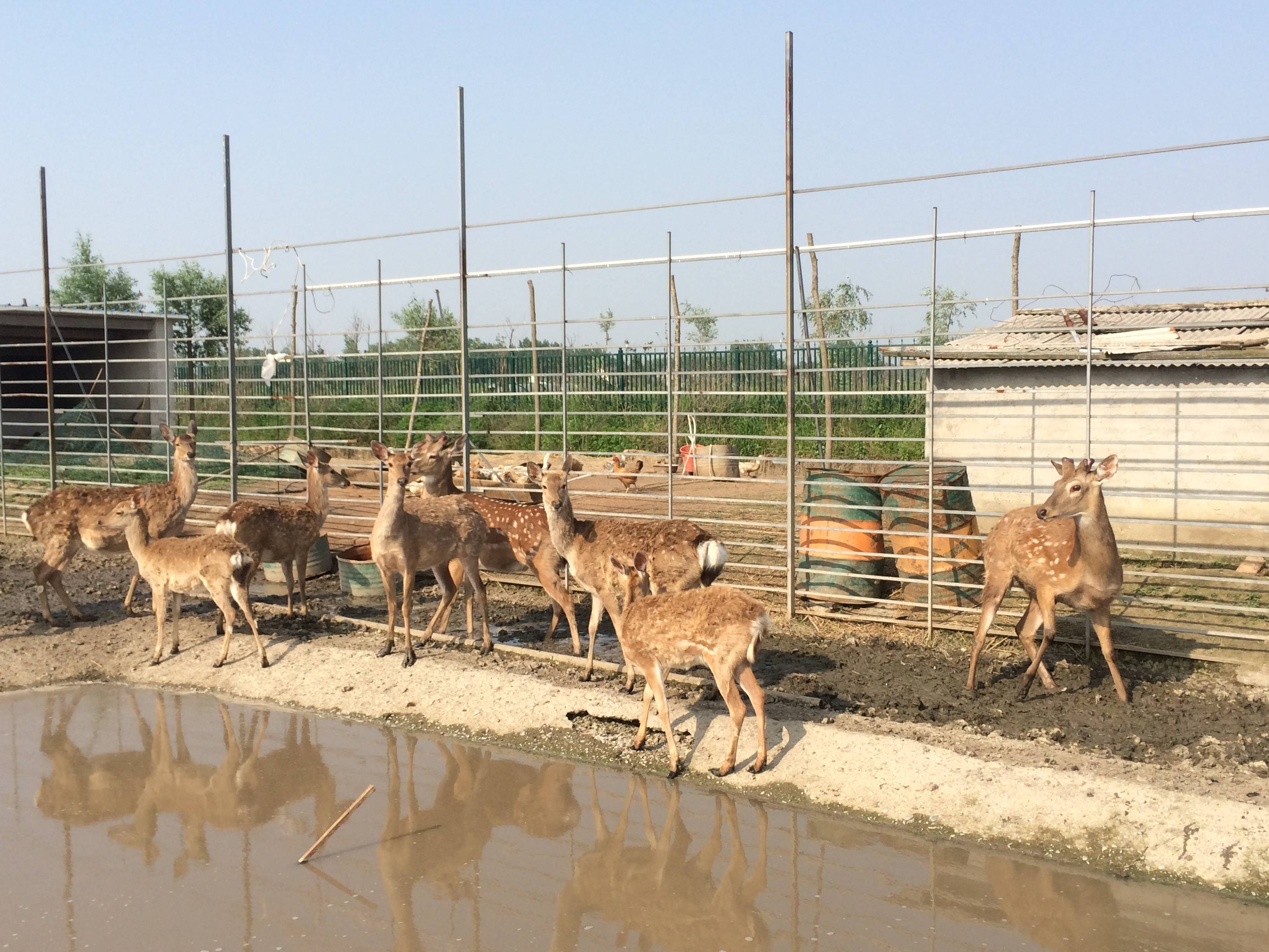 护生园相册(图文)